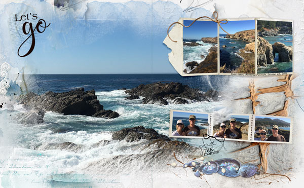 AnnaLift 10-21 Point Lobos