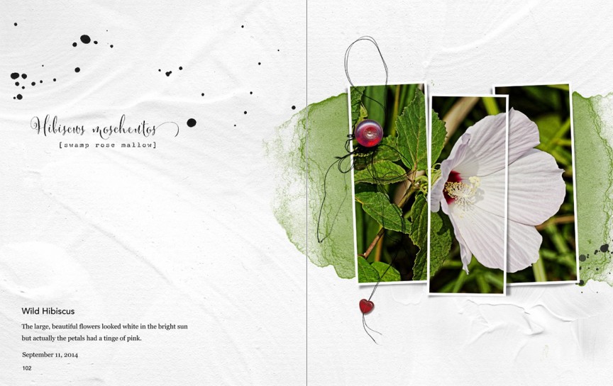 AnnaLift 11.15.14 - 11.21.14 - Wild Hibiscus