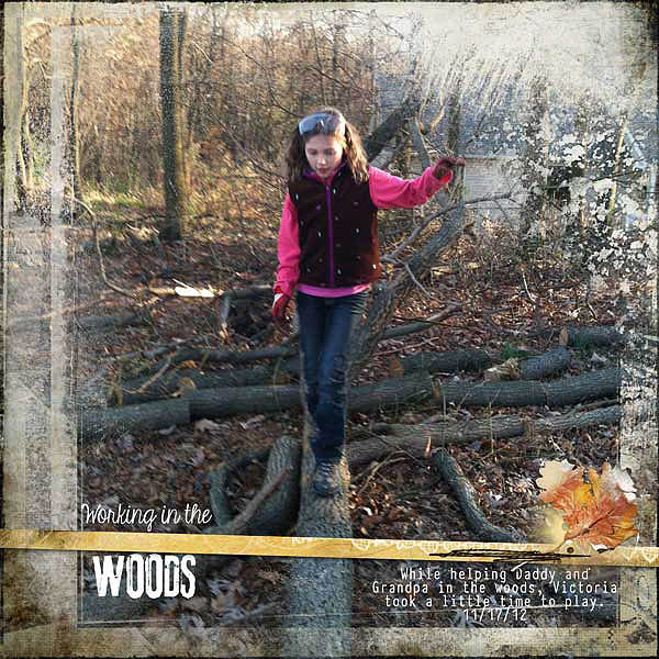 AnnaLift (11.16.12-11.22.12) - Working in the Woods