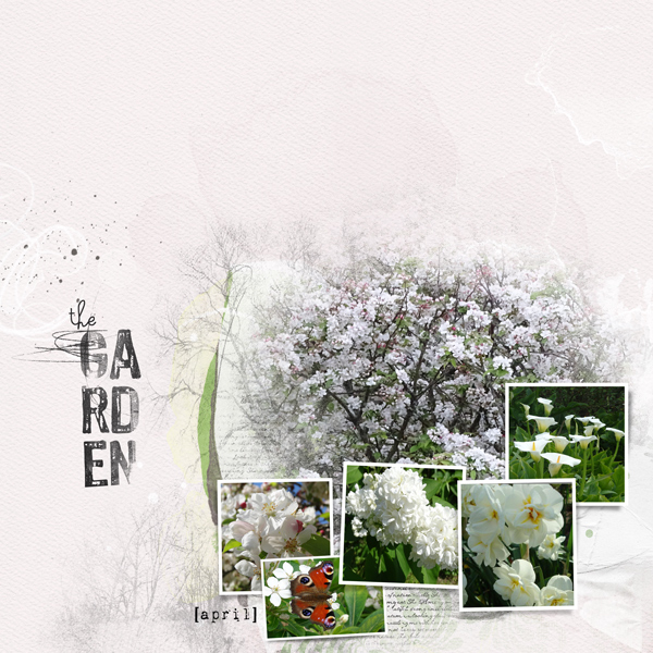 AnnaLift 14/04/18 - 20/04/18