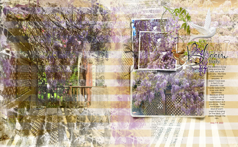 AnnaLift-5-13 Wisteria