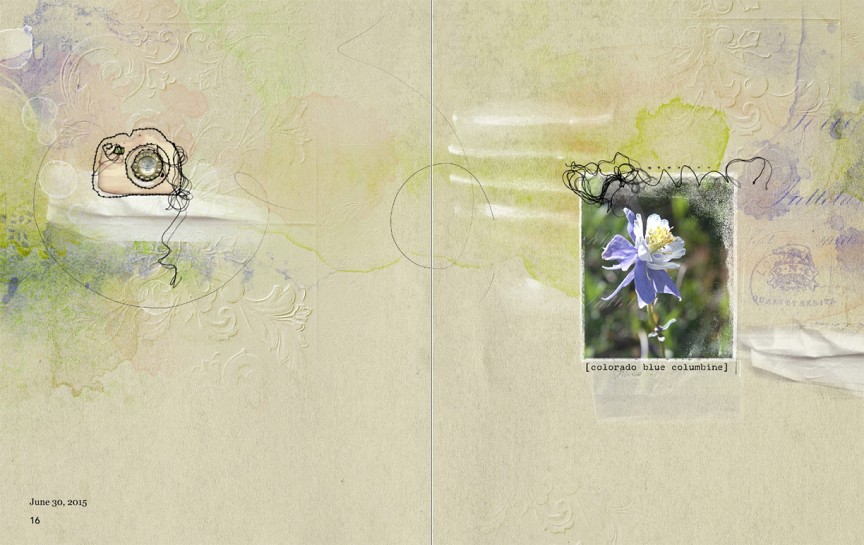 AnnaLIFT 7.11.15 - Columbine