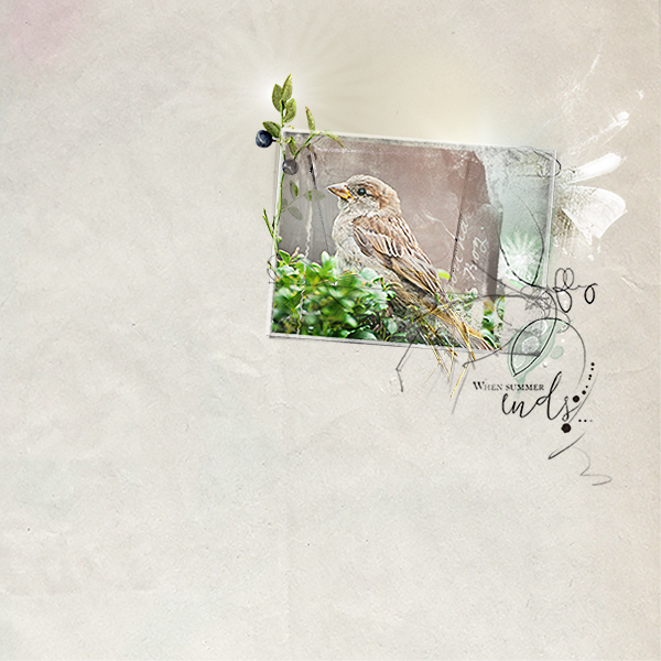 AnnaLIFT 9.19.15 - 9.25.15 - Bird