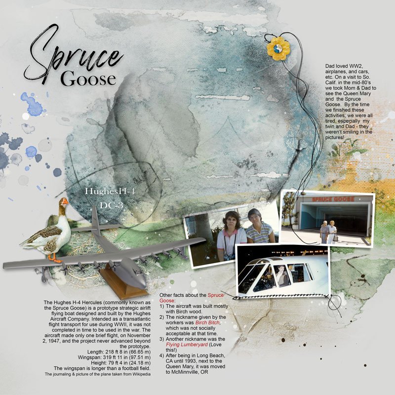 AnnaLift-Challenge-05.23.25---06.06.25_Spruce-Goose