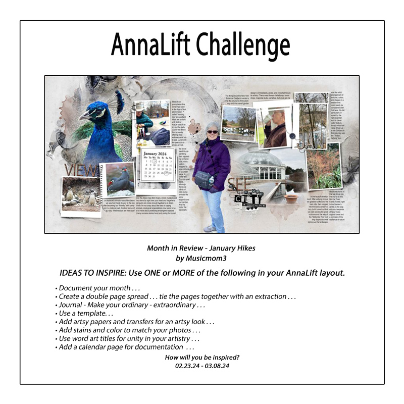 AnnaLift Challenge Gallery 800.jpg