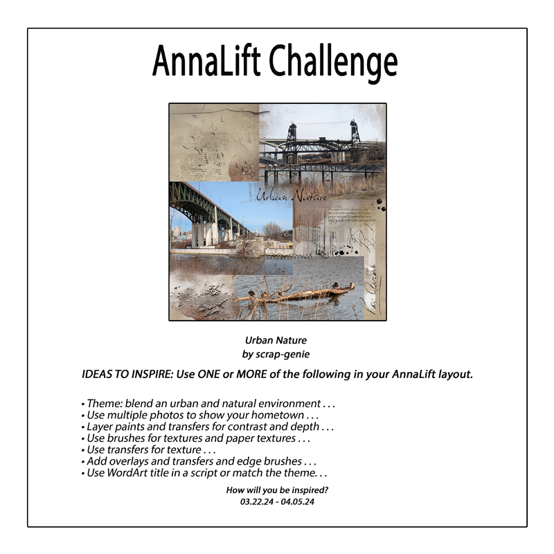 AnnaLift Challenge Gallery 800.jpg