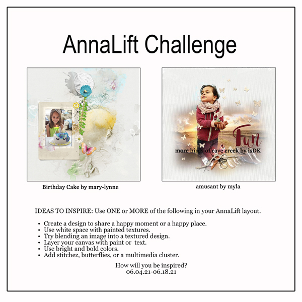 AnnaLift Challenge Gallery.jpg