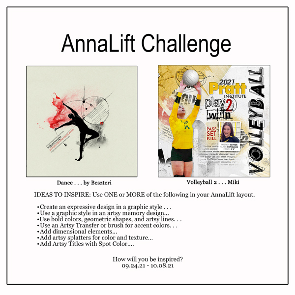 AnnaLift Challenge Gallery.jpg