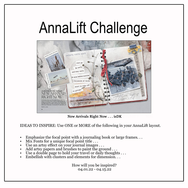 AnnaLift Challenge Gallery.jpg