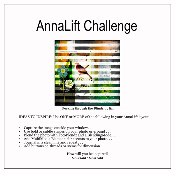 AnnaLift Challenge Gallery.jpg