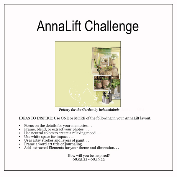 AnnaLift Challenge Gallery.jpg