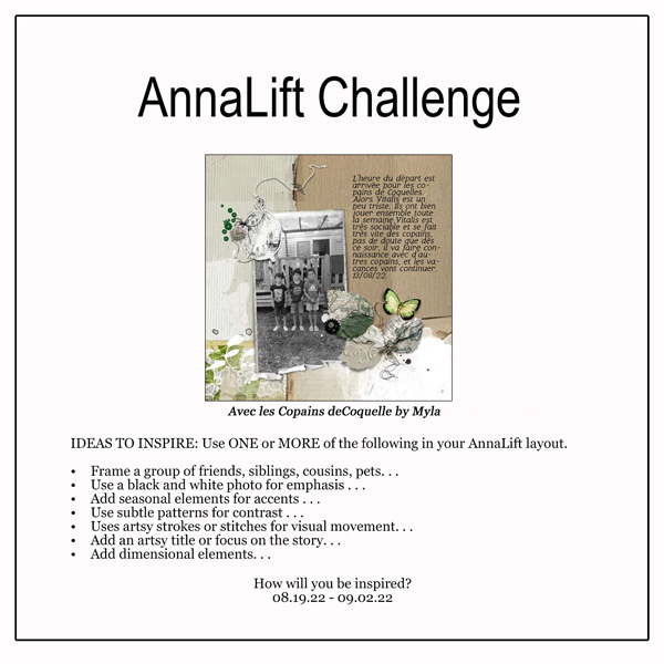 AnnaLift Challenge Gallery.jpg