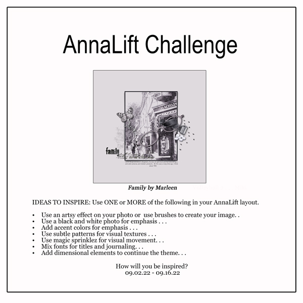 AnnaLift Challenge Gallery.jpg