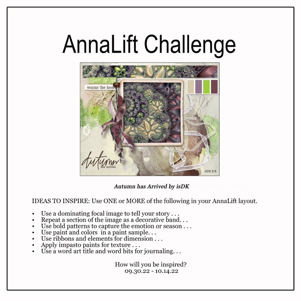 AnnaLift Challenge Gallery.jpg