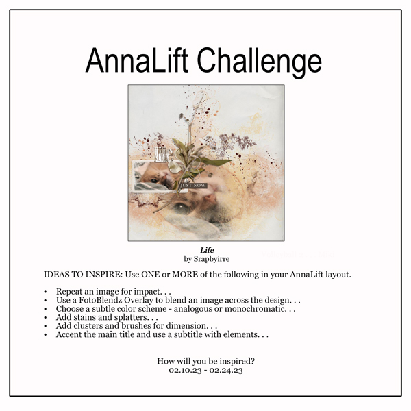 AnnaLift Challenge Gallery.jpg