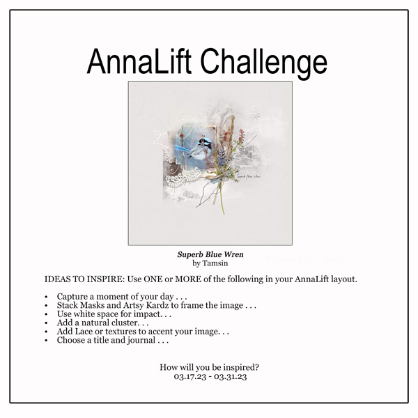 AnnaLift Challenge Gallery.jpg