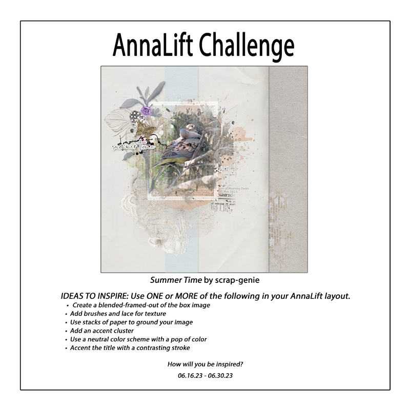 AnnaLift Challenge Gallery.jpg