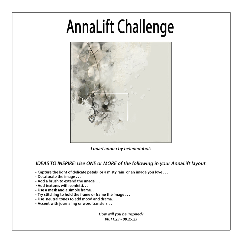 AnnaLift Challenge Gallery.jpg