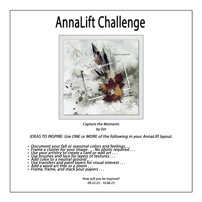 AnnaLift Challenge Gallery.jpg