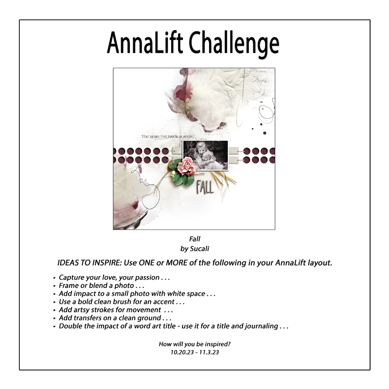 AnnaLift Challenge Gallery.jpg