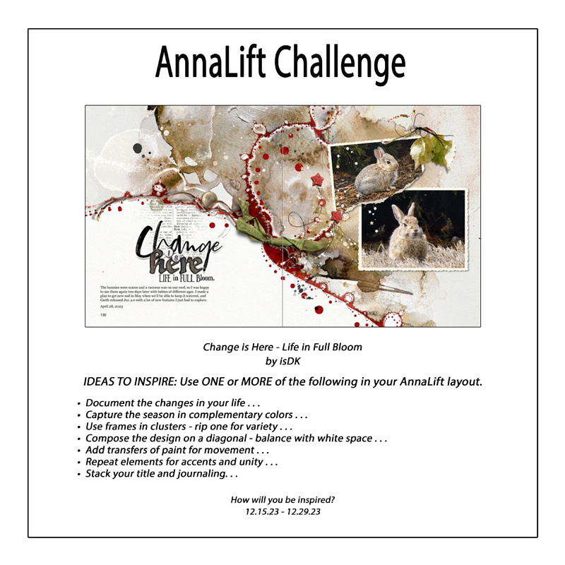 AnnaLift Challenge Gallery.jpg