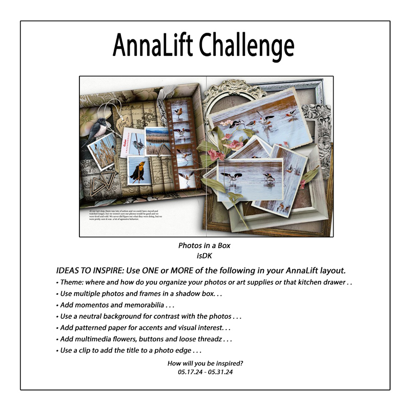 AnnaLift Challenge Gallery.jpg