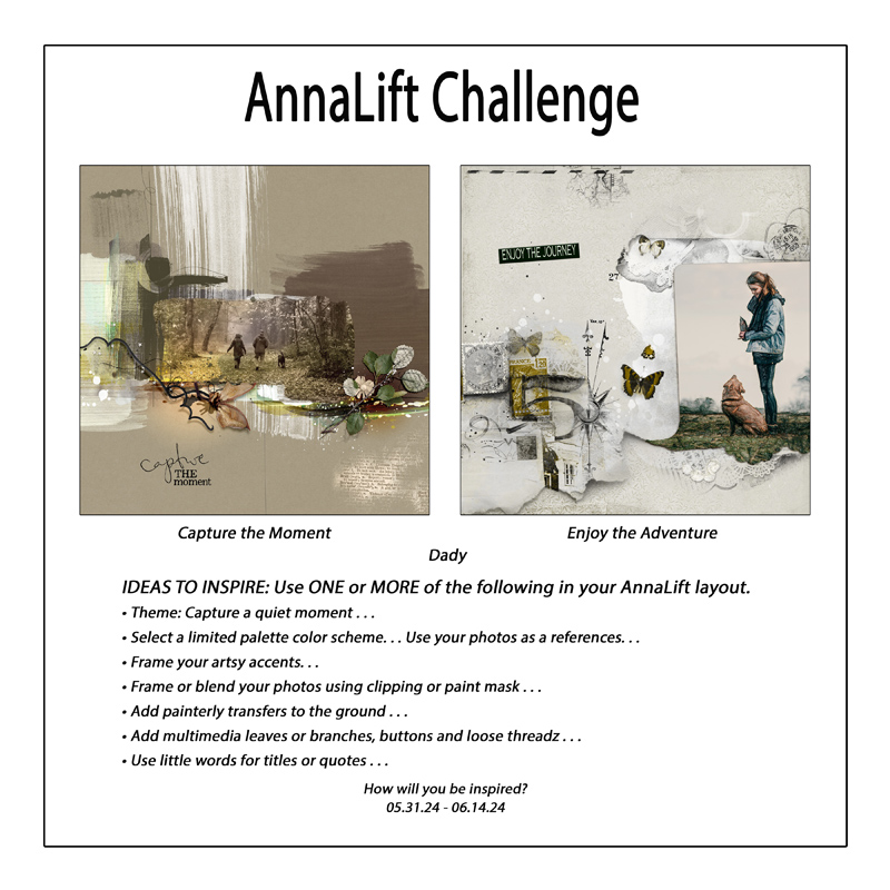 AnnaLift Challenge Gallery.jpg