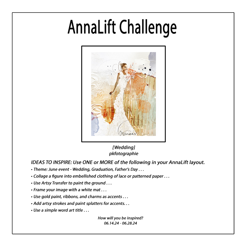 AnnaLift Challenge Gallery.jpg