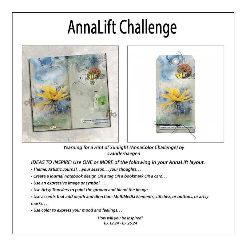 AnnaLift Challenge Gallery.jpg