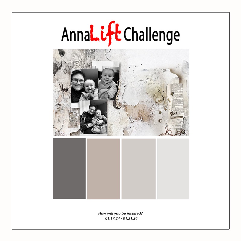 AnnaLift Challenge Gallery.jpg