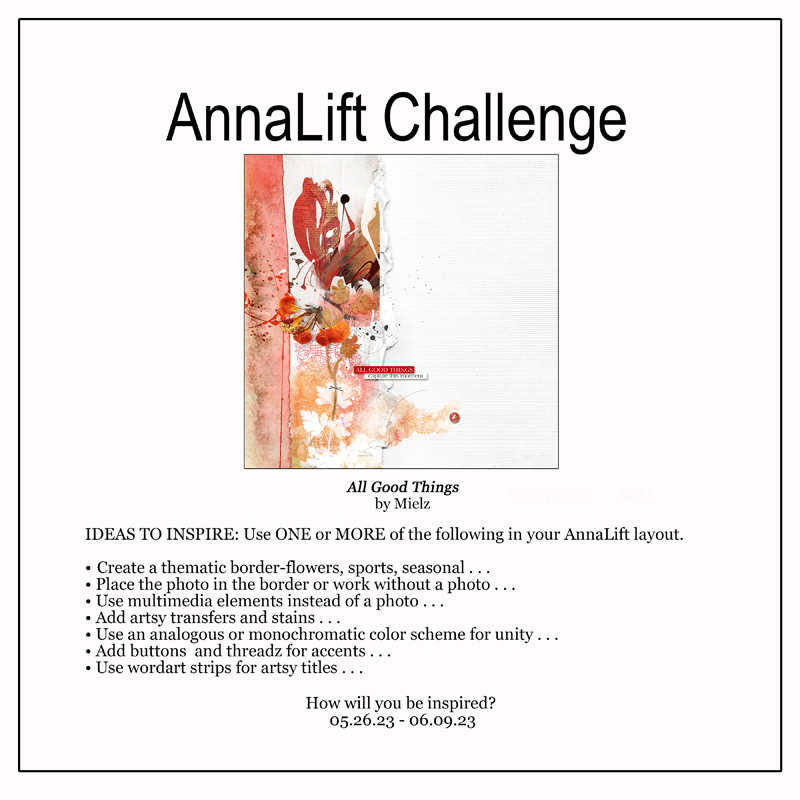 AnnaLift Challenge Gallery_800.jpg