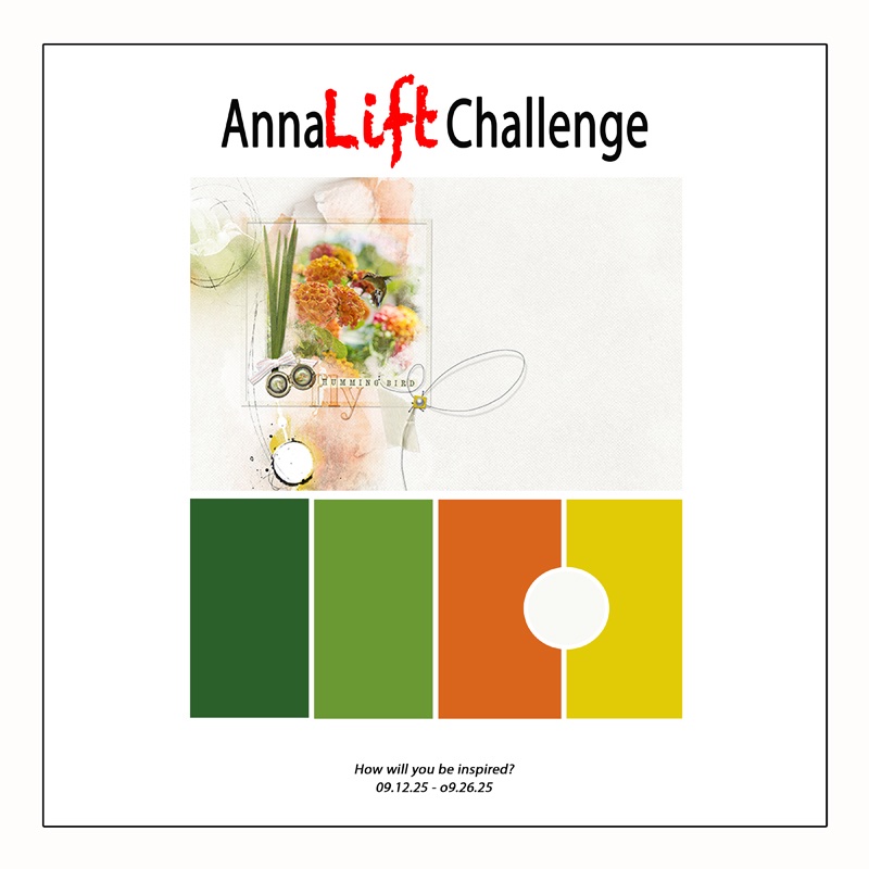 AnnaLift Challenge.jpg