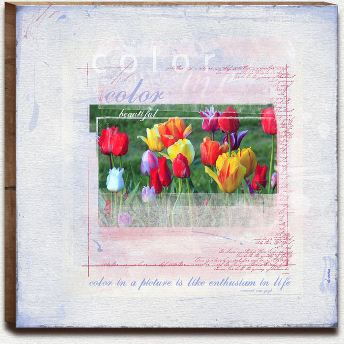 AnnaLift-color beautiful