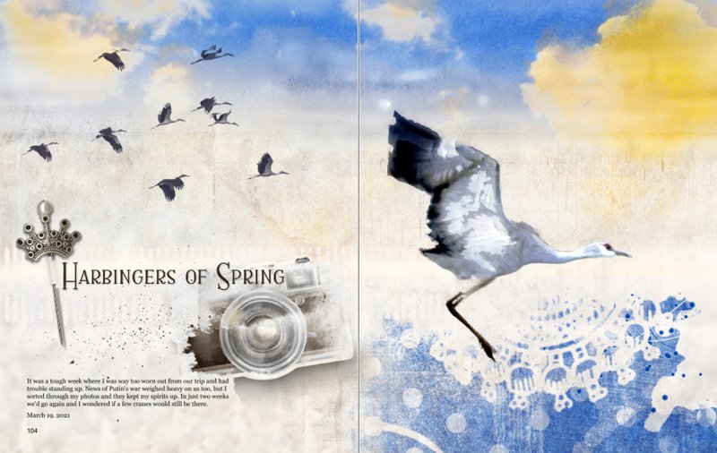 AnnaLIFT: Harbingers of Spring