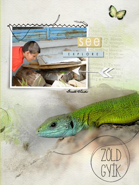 Annalift - Lizard