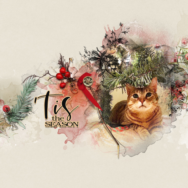 AnnaLift: Merry Kittymas