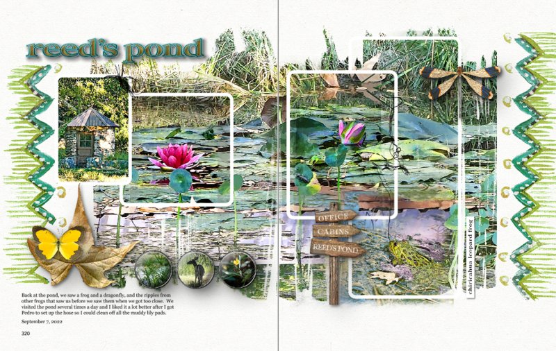 AnnaLift: Reed's Pond