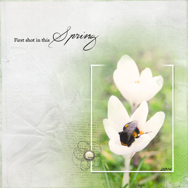 Annalift - springpage