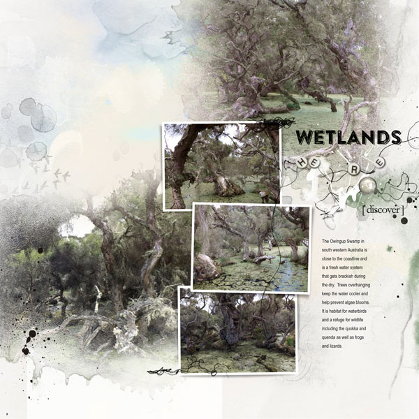 AnnaLift - Wetlands