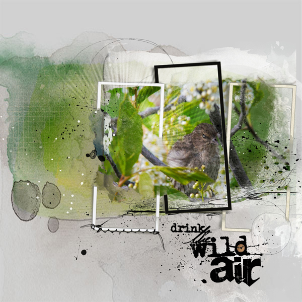 AnnaLift: Wild Air