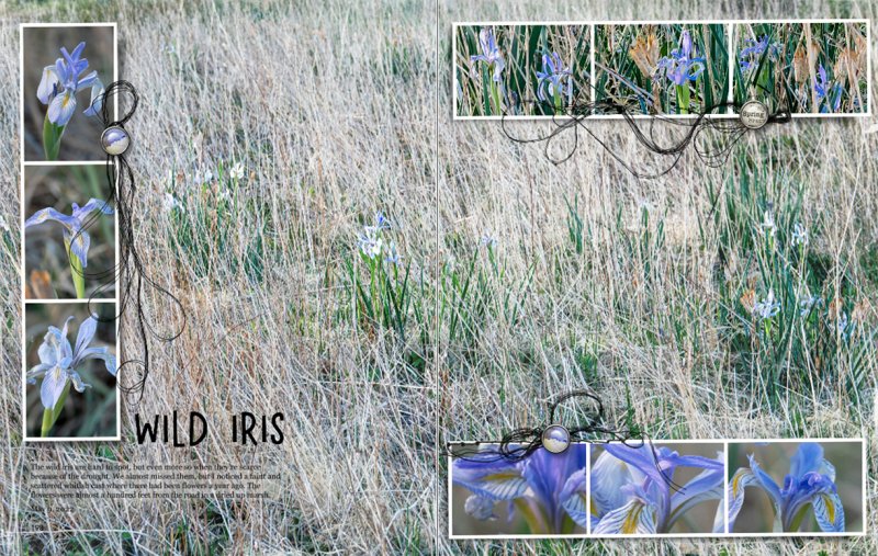 AnnaLift: Wild Iris