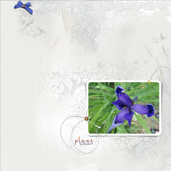 AnnaLIFT