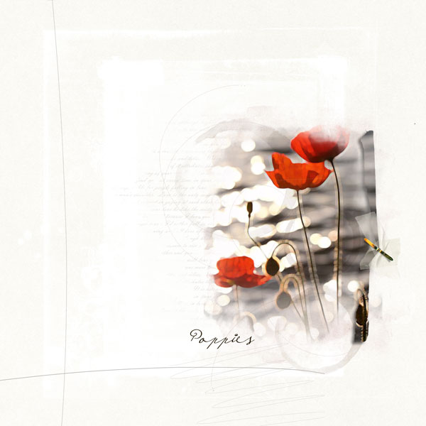 AnnaLift030813 - poppies