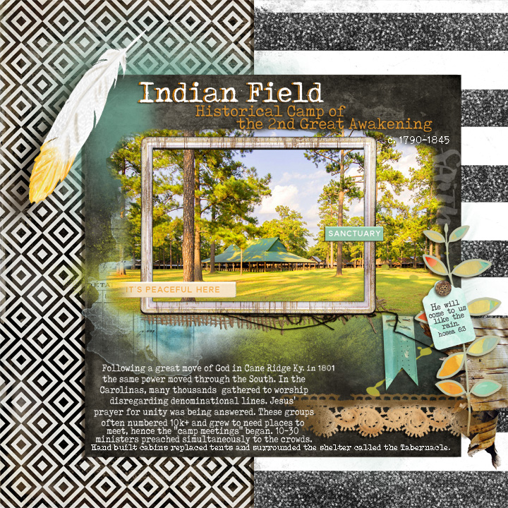 AnnaLift_Amazing Indian Field