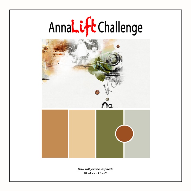 AnnaMixed Challenge.jpg