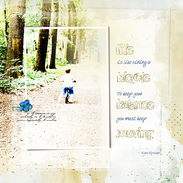 AnnaPageMake-over : life-is-like-riding-a-bicycle_