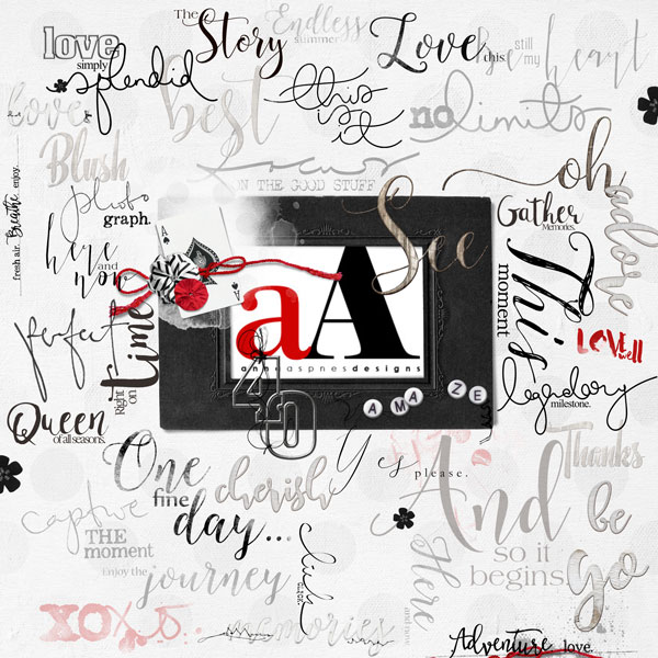 Anna's Big 40 Challenge