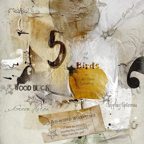 Anniver5ary ARTChallenge - 5 Birds