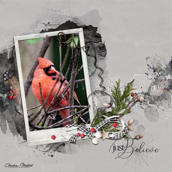 APP Yuletide - Cardinal