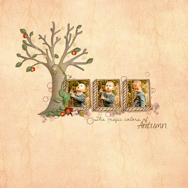 apple blossom